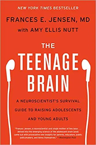 teenage brain