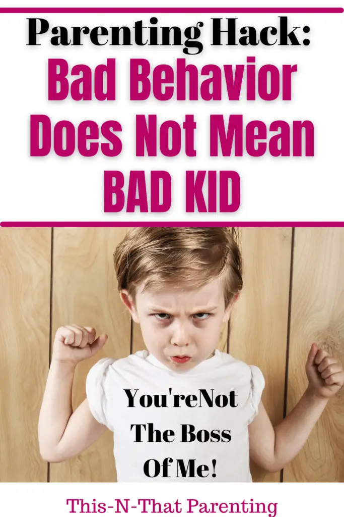 Bad Behavior Does Not Mean Bad Kid
